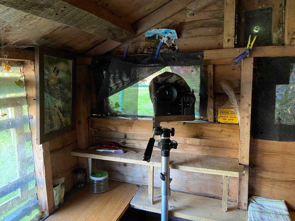 Inside Lee Aaron's Hide