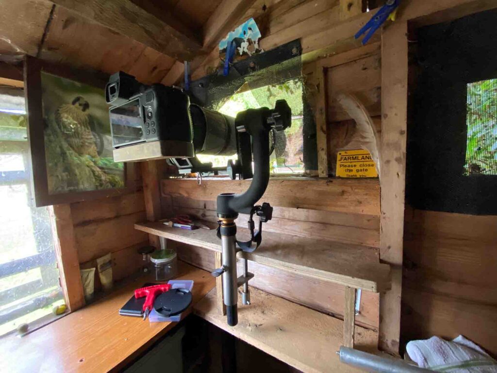 Inside Lee Aarons wildlife photography hide