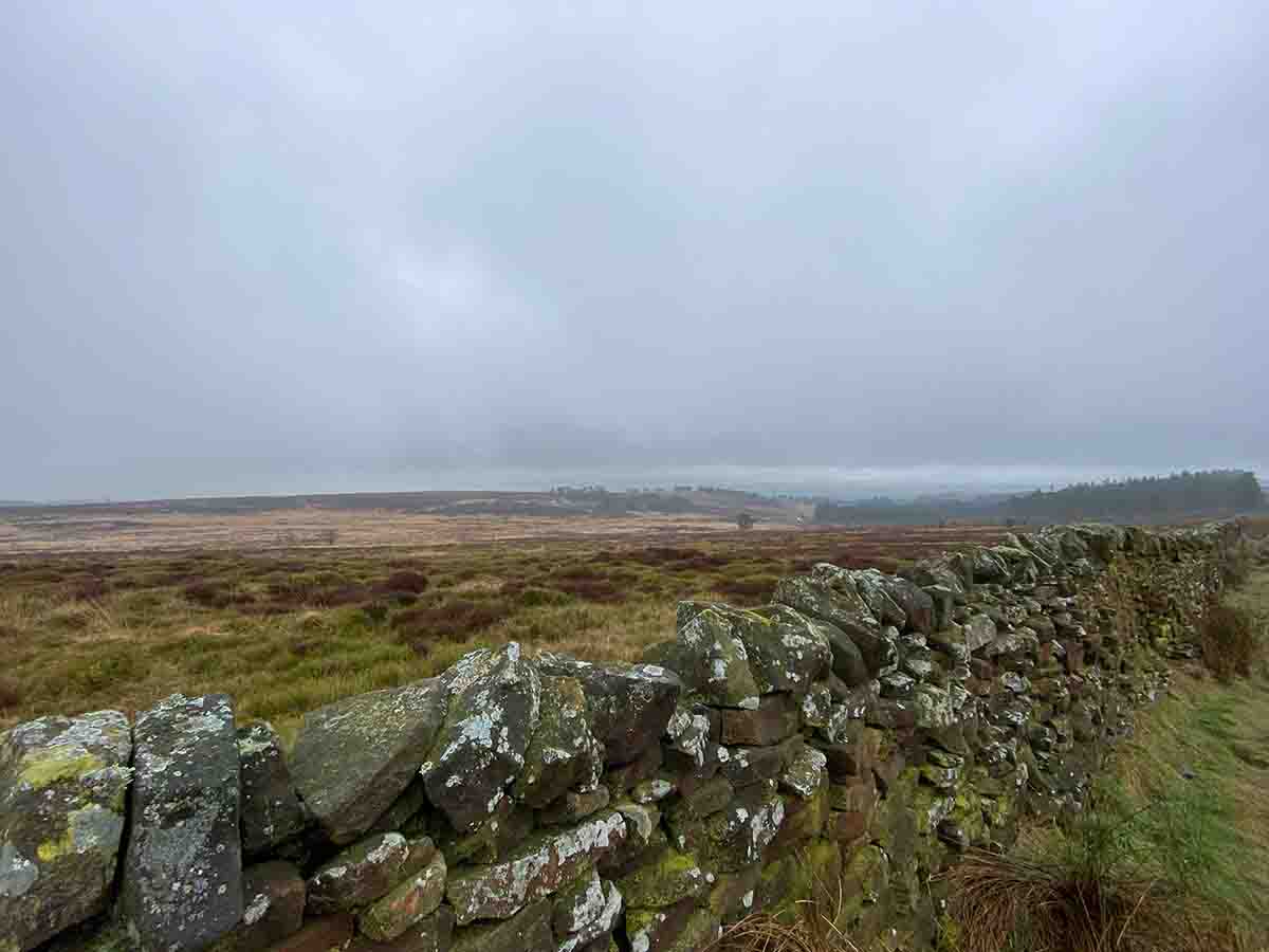 View from Jeffery Hill